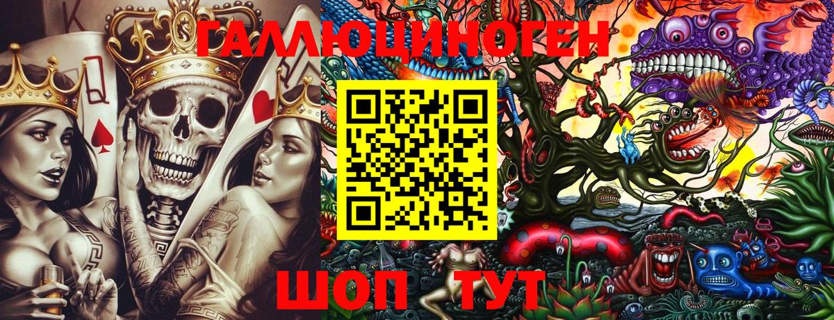 Галлюциногенные грибы Psilocybine cubensis Ярославль