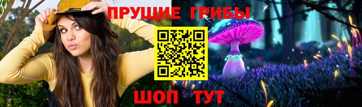 Псилоцибиновые грибы GOLDEN TEACHER  Псилоцибиновые грибы прущие грибы  продажа наркотиков  Вход с VPN  Ярославль 